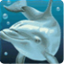 играть в игровой слот онлайн dolphins